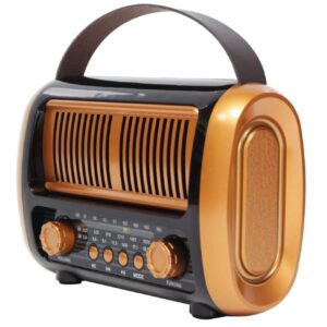 Radio portable multifonction avec Bluetooth